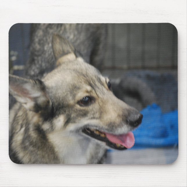 Swedish Vallhund  Mouse Pad (Front)