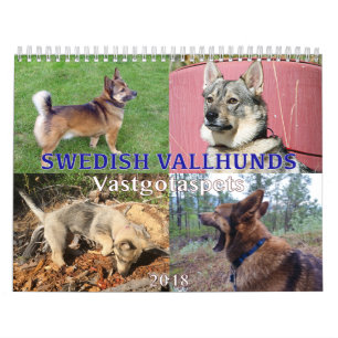Swedish Vallhund, Vastgotaspets, Callendar 2018 Calendar
