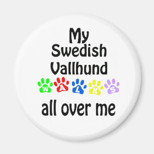 Swedish Vallhund Walks Design Magnet