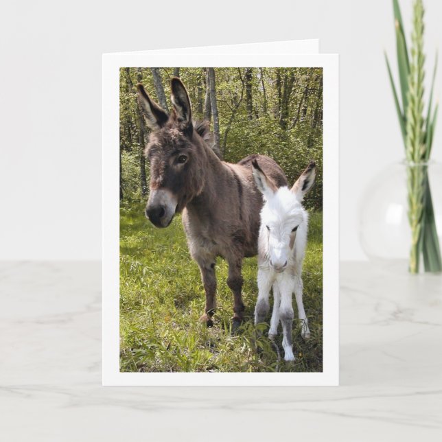 Swee'pea Card (Front)