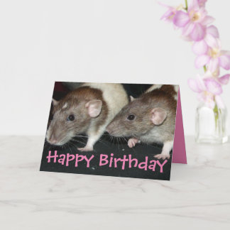 Sweet agouti hooded girl rats birthday card