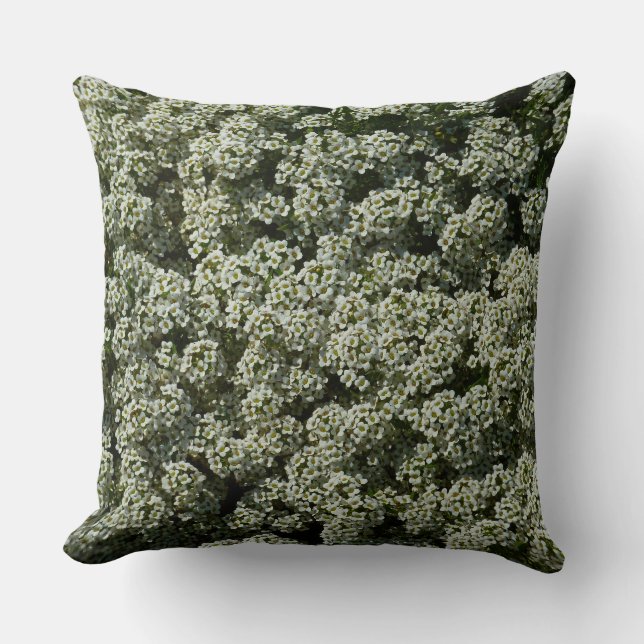 Sweet Alyssum Flowers White Floral Cushion (Front)