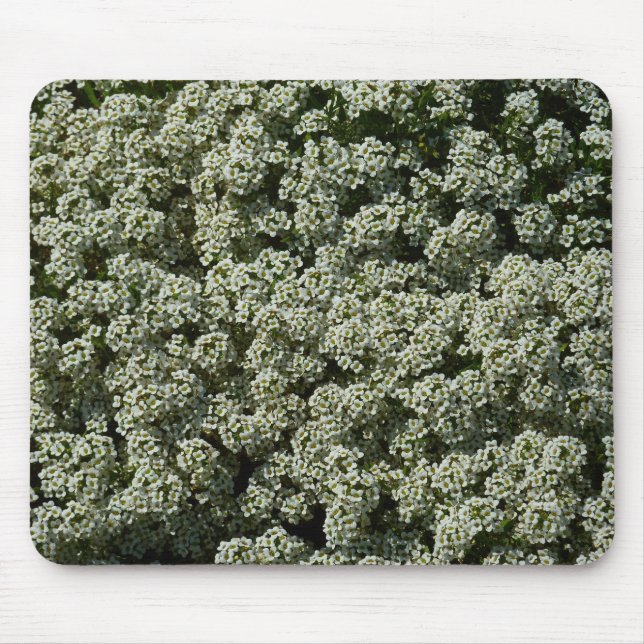 Sweet Alyssum Flowers White Floral Mouse Pad (Front)