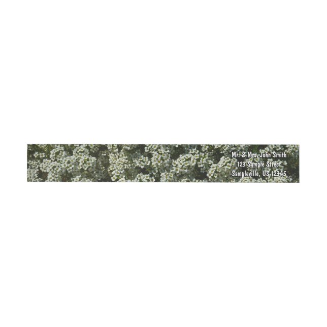 Sweet Alyssum Flowers White Floral Wrap Around Label (Individual)