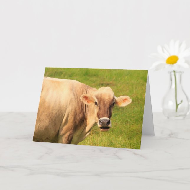 Sweet And Caring Cow Get Well Card (Small Plant)