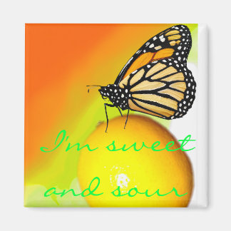Sweet and Sour Magnet