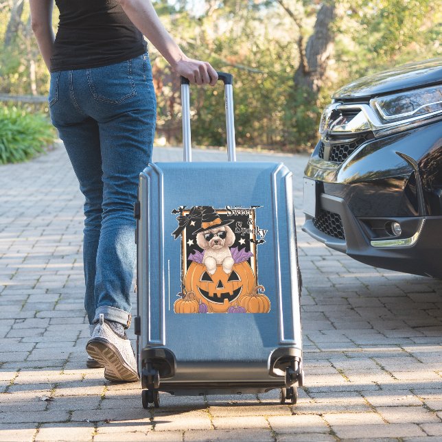 Sweet and Spooky Poodle and Pumpkin (Suitcase Insitu)
