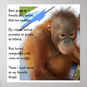 Sweet Animal Favourites Poster