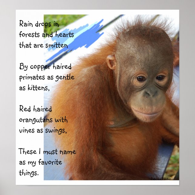 Sweet Animal Favourites Poster (Front)