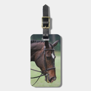 Sweet Arabian Horse Luggage Tag