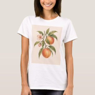 Sweet as a Peach Vintage Peach Botanical Design T-Shirt