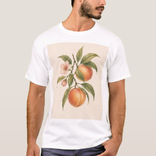 Sweet as a Peach   Vintage Peach Botanical Design T-Shirt