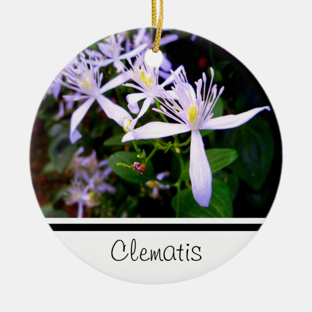 Sweet Autumn Clematis Keepsake Ornament (Front)