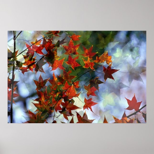 Sweet Autumn Poster (Front)