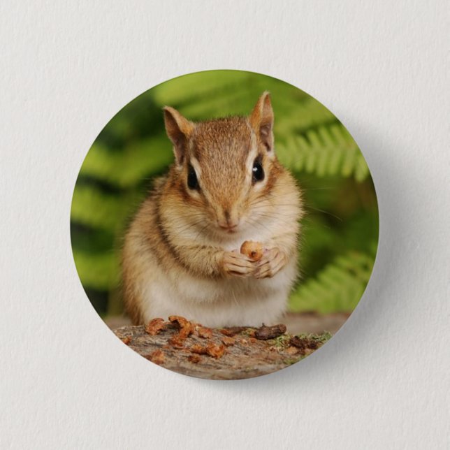 sweet baby chipmunk 6 cm round badge (Front)
