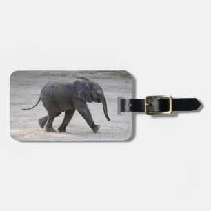 Sweet Baby Elephant Kibali Luggage Tag