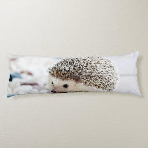 Sweet Baby Hedgehog Body Cushion