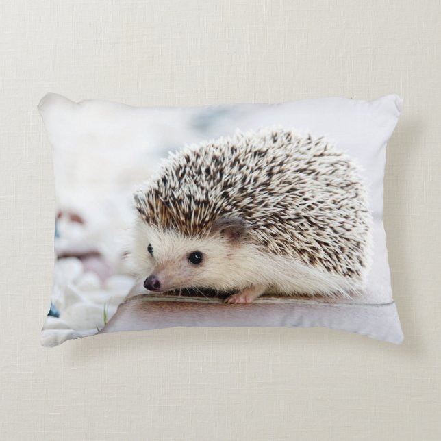 Sweet Baby Hedgehog Decorative Cushion (Front)