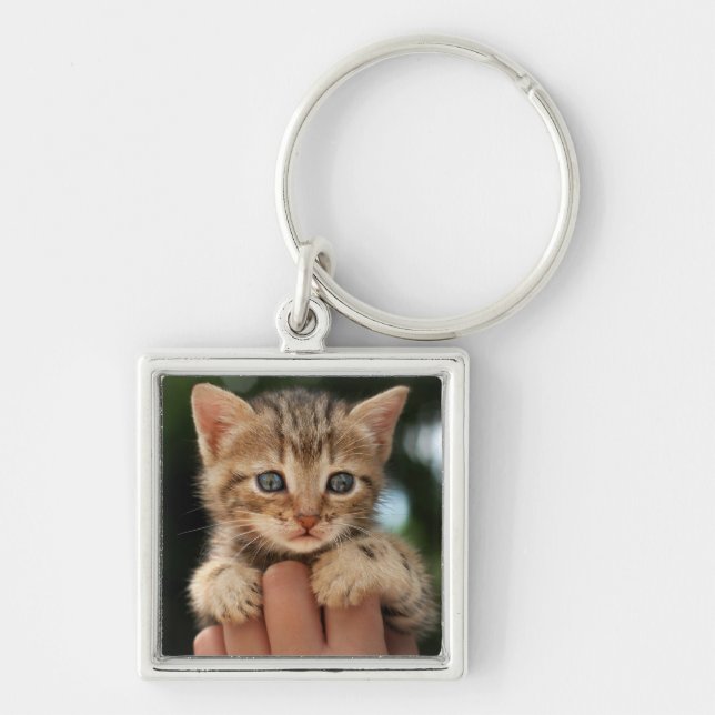 Sweet Baby Kitten Key Ring (Front)