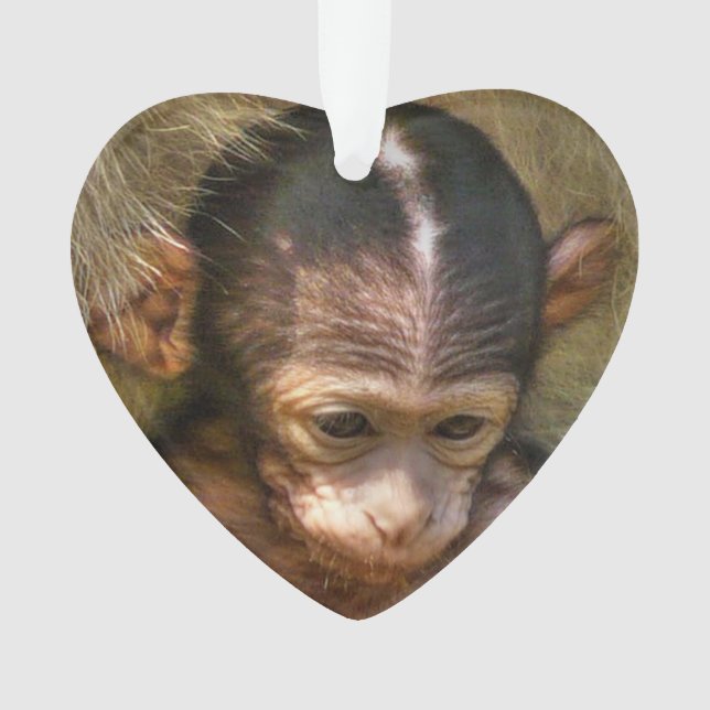 sweet baby monkey ornament (Front)