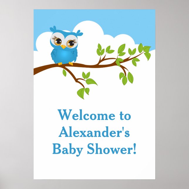 Sweet Baby Owl Boy Baby Shower Poster (Front)