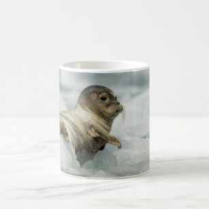 Sweet Baby Seal Coffee Mug