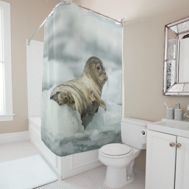 Sweet Baby Seal Shower Curtain (In Situ)