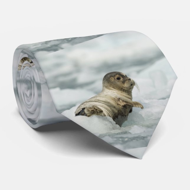 Sweet Baby Seal Tie (Rolled)