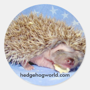 Sweet baby sticker