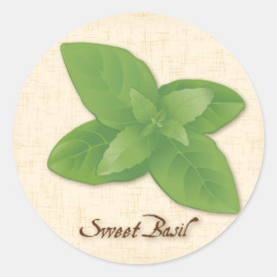 Sweet Basil Herb Classic Round Sticker