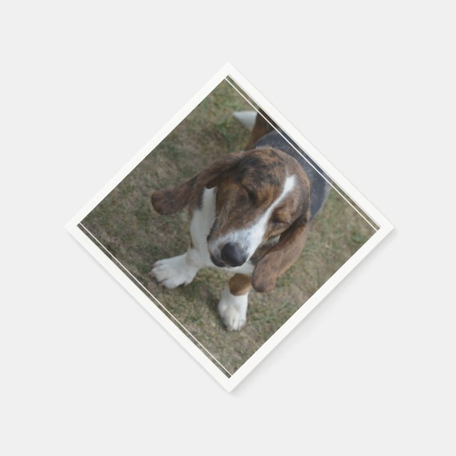 Sweet Basset Hound Napkin (Corner)