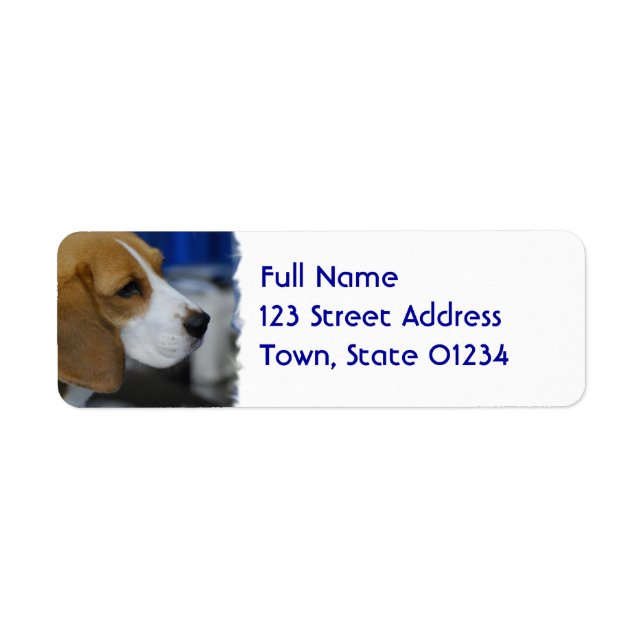 Sweet Beagle Return Address Label (Front)