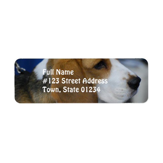 Sweet Beagle Return Address Label (Front)