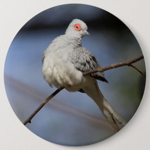 Sweet Beautiful Diamond Dove 6 Cm Round Badge