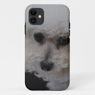 Sweet Bichon Frise iPhone 11 Case