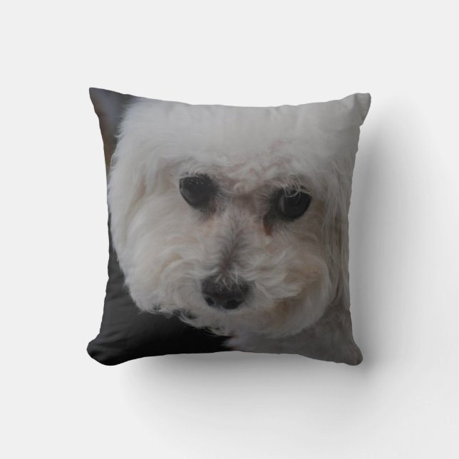 Sweet Bichon Frise Cushion (Front)