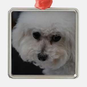 Sweet Bichon Frise Metal Tree Decoration