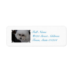 Sweet Bichon Frise Return Address Label