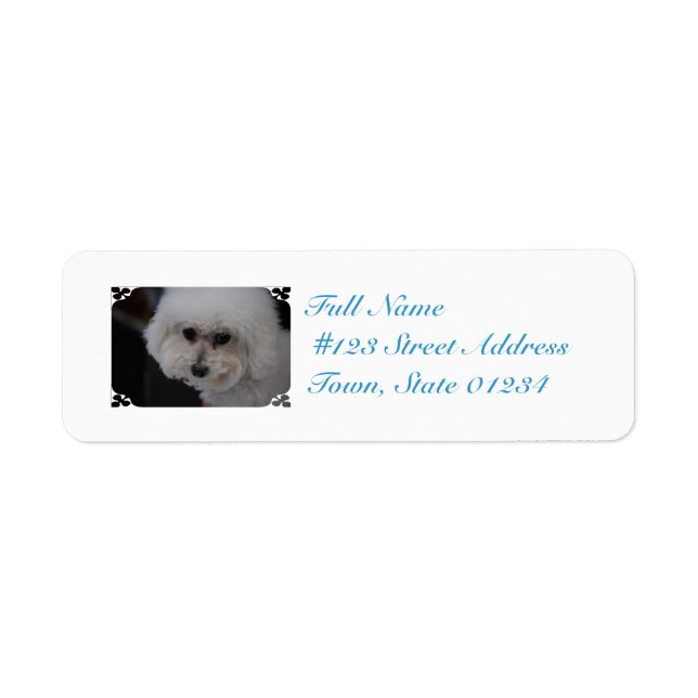Sweet Bichon Frise Return Address Label (Front)