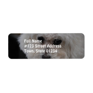 Sweet Bichon Frise Return Address Label