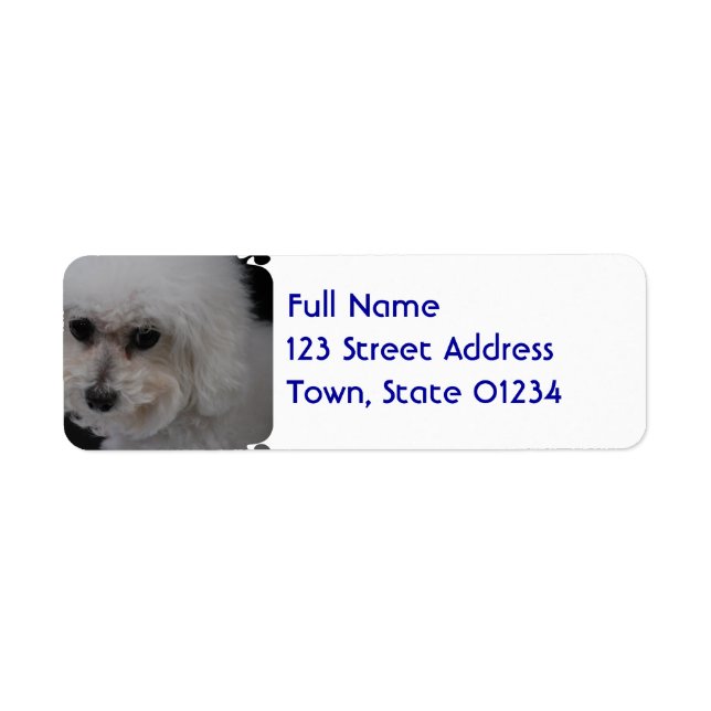 Sweet Bichon Frise Return Address Label (Front)