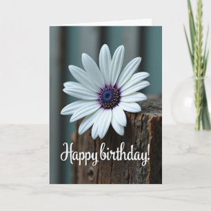Sweet Birthday Daisy Blossom Card