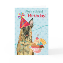 Sweet Birthday Malinois