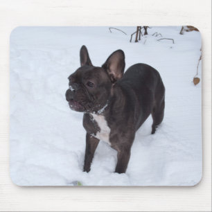 Sweet Black French Bulldog Likes Snow Mouse Pad
