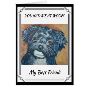 SWEET BLACK HAVANESE