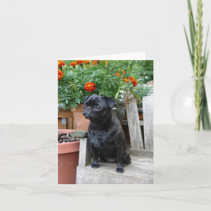 Sweet Black Pug Note Card - blank