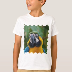 Sweet Blue and Gold Macaw T-Shirt