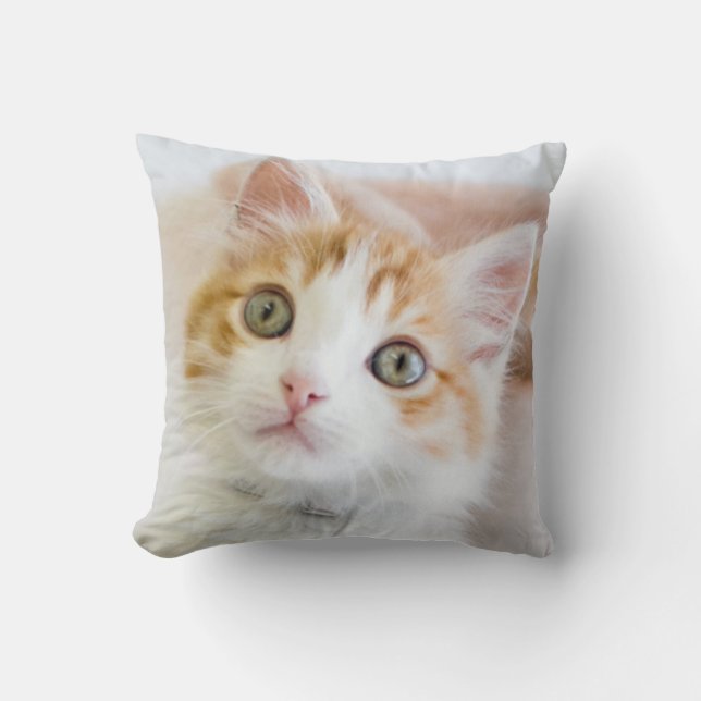 Sweet Blue Eyed Kitty Cushion (Front)