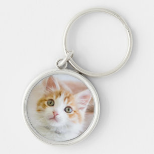 Sweet Blue Eyed Kitty Key Ring