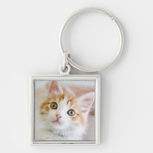 Sweet Blue Eyed Kitty Key Ring (Front)